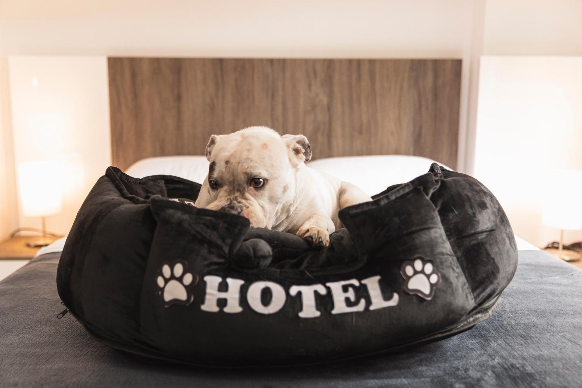 קאלי Hotel Boutique Bussines Center מראה חיצוני תמונה